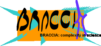 BRACCIA Logo